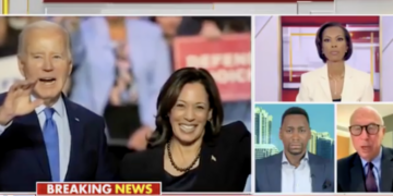 Former Clinton Adviser Says He Has ‘Trouble With’ How Dems Undemocratically Gave Harris ‘Rubber Stamp’